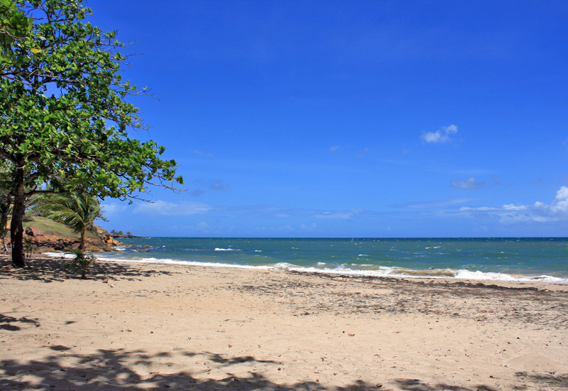 Plage de Mambia, a beautiful little beach of blond sand